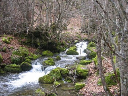 Reserva de la biosfera